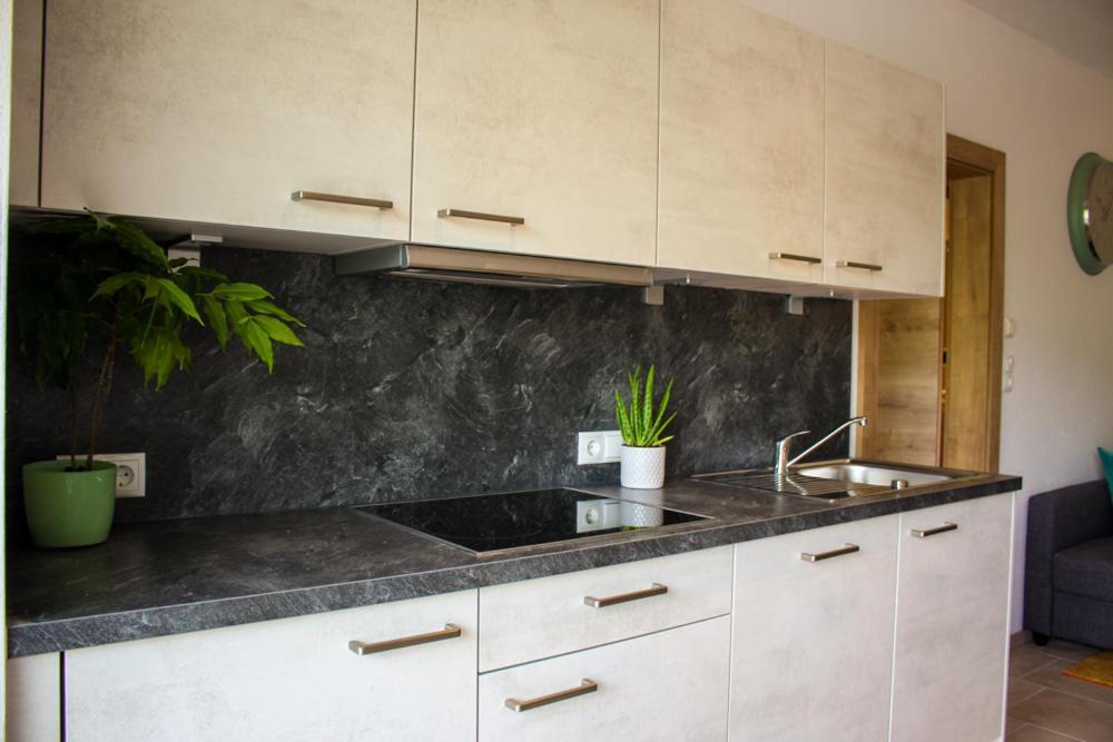 Living Apartment Maurer Sautens Buitenkant foto